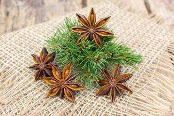 star anise spices and christmas branch