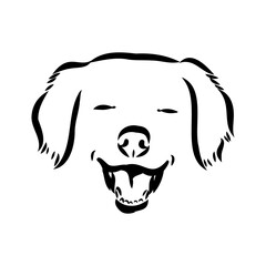 Akbash dog hand drawing. Vector illustration isolated on white background.