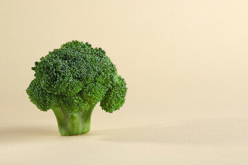 Fresh raw broccoli on beige background, closeup. Space for text