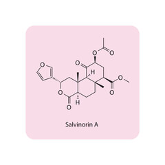 Diagram showing phospholipid structures - Liposome, micelle, monolayer and bilayer. Blue and yellow scientific vector illustration.