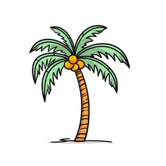 coconut tree vector illustration