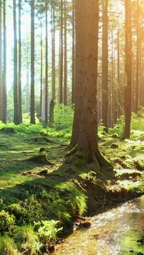 Silent Forest in spring with beautiful bright sun rays - vertical video.