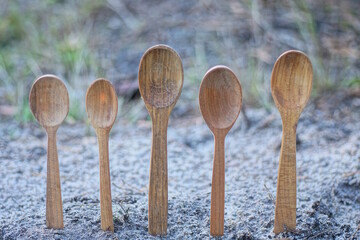a row of five old brown wooden spoons stand in the gray ground on the street