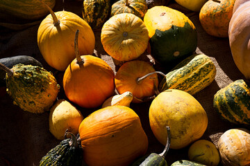 jesień, upadek, dynia, jedzenie, drewniane, żniwa, halloween, organiczne, dynia, wegetariańska,...
