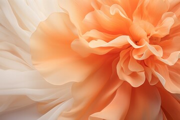  a close up of an orange and white flower on a white and gray background with a blurry image of a large flower in the center of the center of the flower.