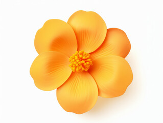 Fototapeta na wymiar yellow flower isolated on white background, in the style of orange created with Generative Ai