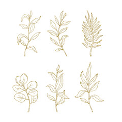Palm and eucalyptus leaves outline, gold glitter simple hand drawn vector illustration set, isolate on white background © Oksana