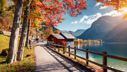 wonderful autumn landscape beautiful romantic alley near popular alpine lake grundlsee with colorful trees scenic image of forest landscape at sunny day stunning nature background - obrazy, fototapety, plakaty