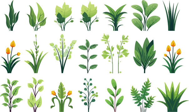 garden vegetation set isolated vector style with transparent background illustration