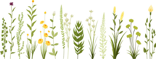 Fototapeta na wymiar field vegetation set isolated vector style with transparent background illustration