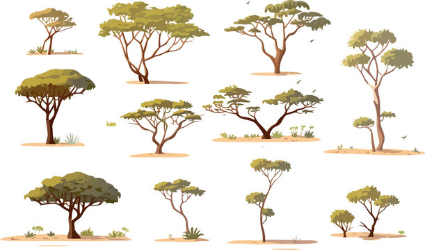 savannah trees set isolated vector style with transparent background illustration