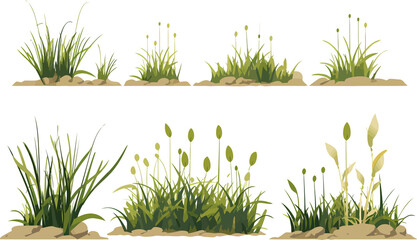 marsh vegetation set isolated vector style with transparent background illustration - obrazy, fototapety, plakaty