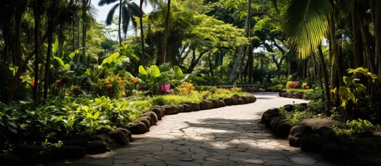 As the sunlight filters through the lush foliage of the tropical park, the vibrant colors of the leaves create a beautiful landscape, their black green hue complementing the surrounding nature. The