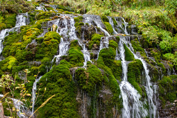Wide waterfall buried in moss