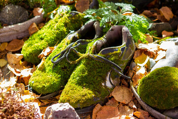Boots overgrown with moss
