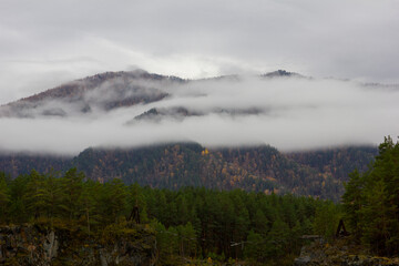 fog in the mountains