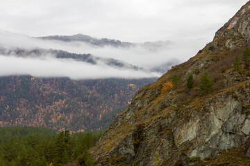 mountains in the fog