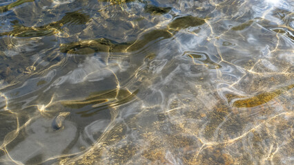 glare on the pond water