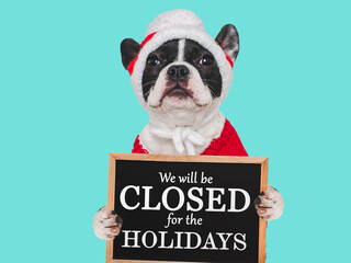 Signboard with the inscription We will be closed for the Holidays. Cute puppy. Closeup, indoors. Studio shot. Pets care concept