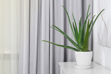 Green aloe vera in pot on chest of drawers indoors, space for text