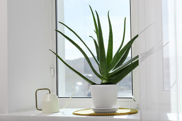 Green aloe vera plant in pot and watering can on windowsill