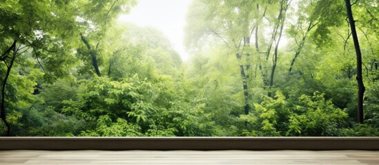 In a summer landscape, a lush greenery with vibrant leaves contrasts beautifully against a white isolated background, highlighting its natural texture and design. The wall covered in wood adds an