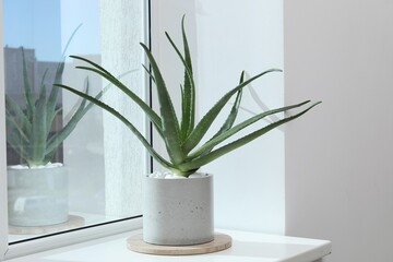 Beautiful potted aloe vera plant on windowsill indoors - obrazy, fototapety, plakaty