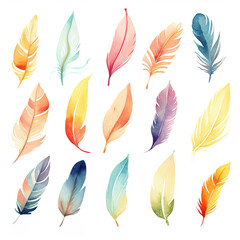 Watercolor Style Illustration of Colorful Feathers