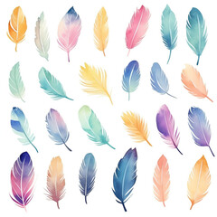 Watercolor Style Illustration of Colorful Feathers