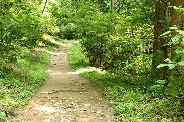 散歩　ーstrollー