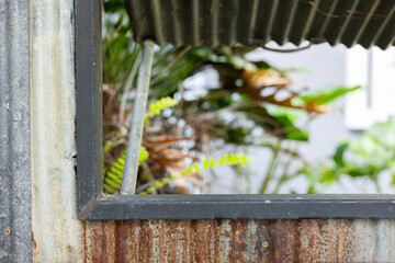 Close up and blurred background with copy space of beautiful metal frame with rusty corrugated metal sheet wall that see through to greenery garden which is vintage and grunge concept background.
