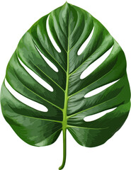 Green jungle leaf clip art