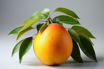  a close up of an orange on a branch with leaves on a white background with a gray back ground and a gray back ground with a gray back droplet.