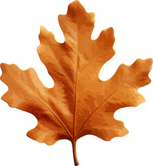 Oak leaf clip art