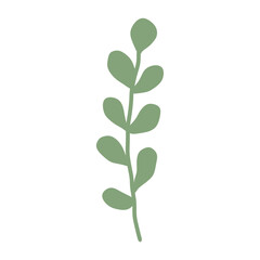 green leaves isolated png