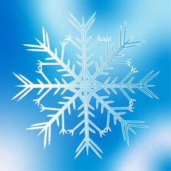 snowflake on blue