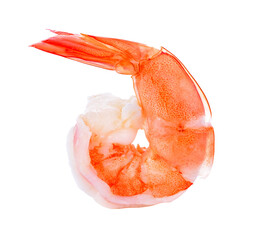 shrimps transparent png
