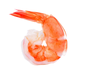 shrimps transparent png