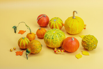 Autumn composition on orange background. Assortment of decorative pumpkins, berries and fall leaves