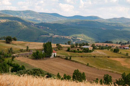 Photo of natural village landscape
