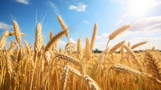 Sunny summer day in a field of golden wheat. Generative AI