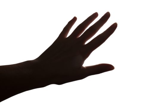 Hands raising up to the sky isolated