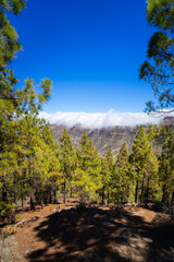 Gran Canaria. Hiking to the Roque Nublo Rock Formation.
