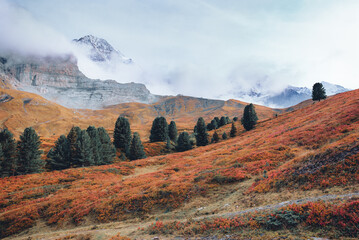 Fototapeta premium autumn in the mountains