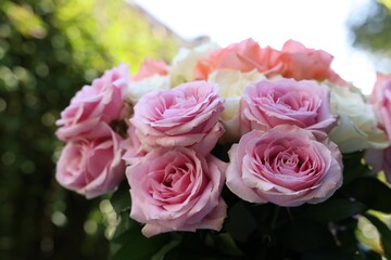 Beautiful bouquet of aromatic roses outdoors, closeup