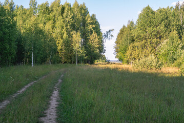 Fototapeta na wymiar The road through a field overgrown with grass in the countryside. Nature in the village. Summer landscape in the village.