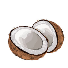 Old coconut that has been peeled and halved, without background