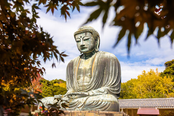 Daibutsu or Great Buddha of Kamakura in Kotokuin Temple at Kanagawa Prefecture Japan with leaves...