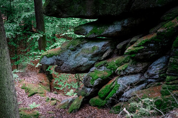 Obraz premium Various rock formations near Michelsneukirchen in the Bavarian Forest