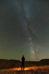 Man looking at the Milky Way in the desert with his back to the camera